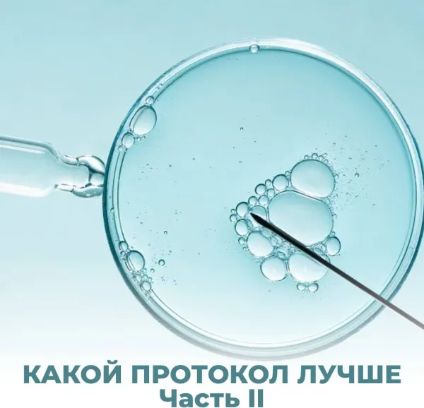 Какой протокол лучше: короткий или длинный? Часть 2