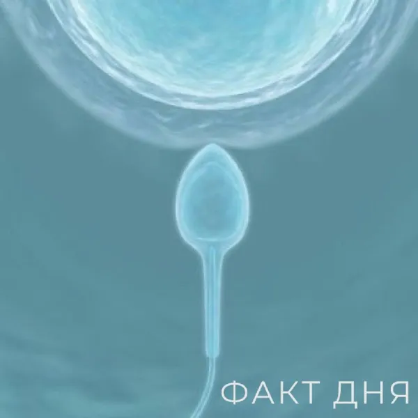 Репродуктивный возраст мужчины: когда лучше планировать отцовство